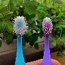 dental-brushes